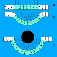 Diagram of possible evolutionary stages